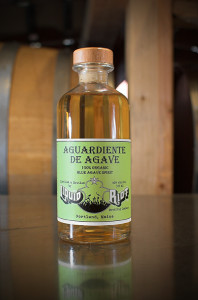 lr_agave_bottle