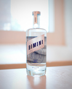 roundturn_biminibottle